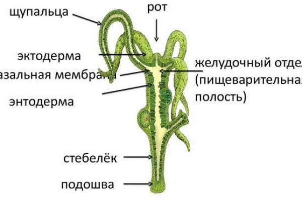 Кракен сайт kr2web in официальный ссылка